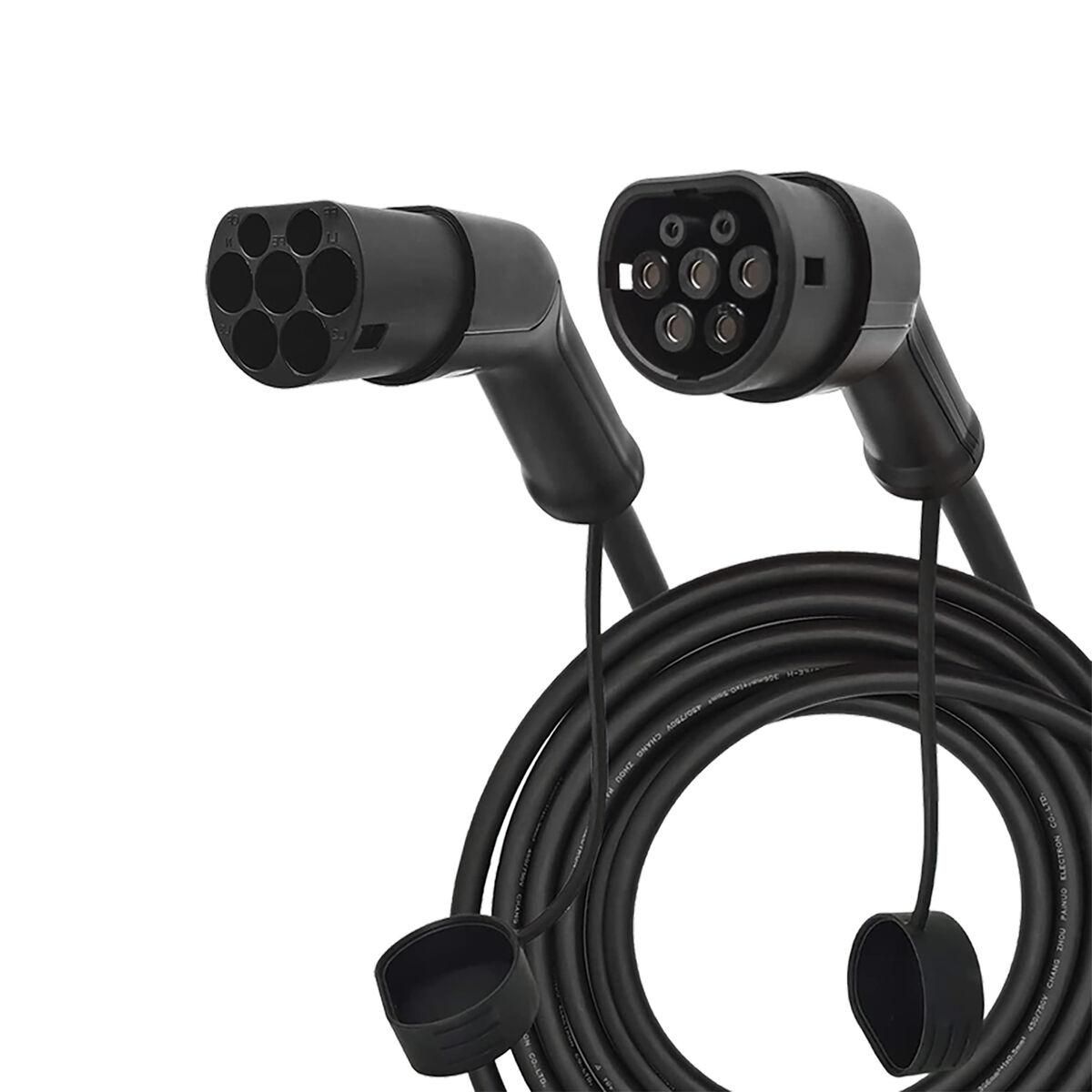 S1906569_0 S1906569_0