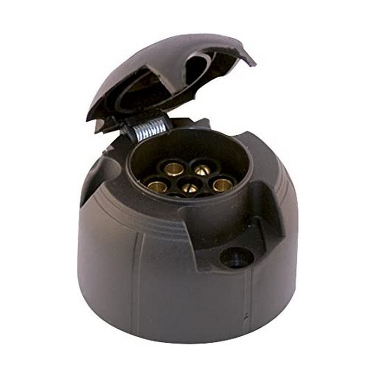 S7909271_0 S7909271_0