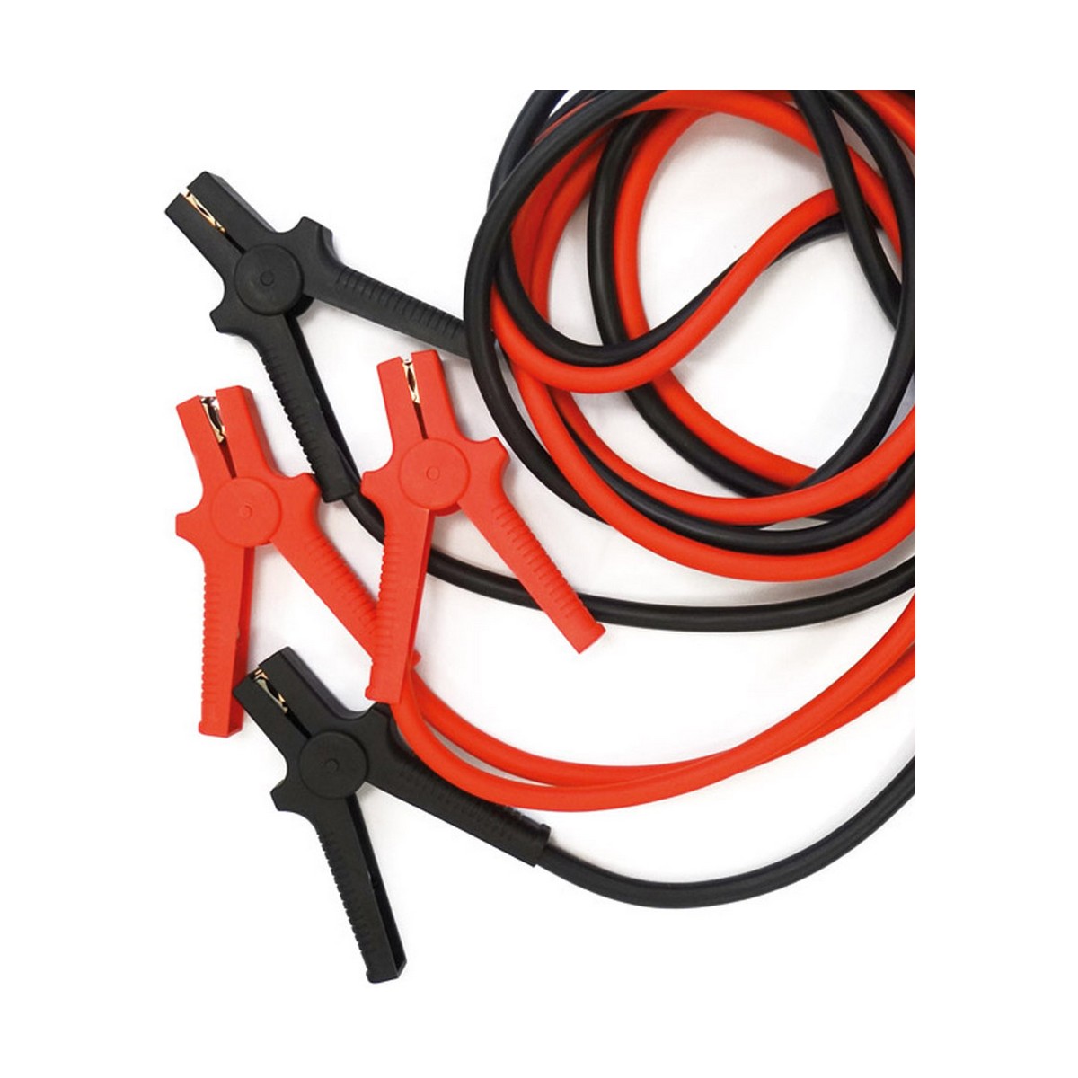 S7914923_0 S7914923_0